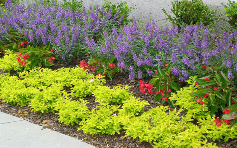 GARDEN CENTER FORT MYERS