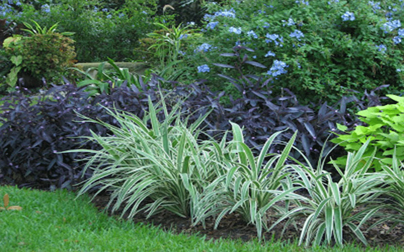 GARDEN CENTER FORT MYERS