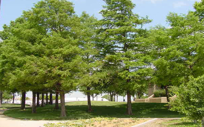 GARDEN CENTER FORT MYERS